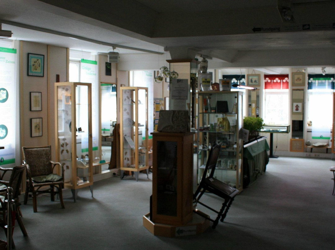 Ginkgo Museum-魏玛必去景点