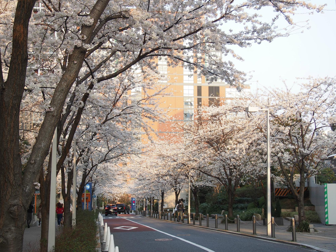 Roppongi Sakurazaka-Roppongi必去景点