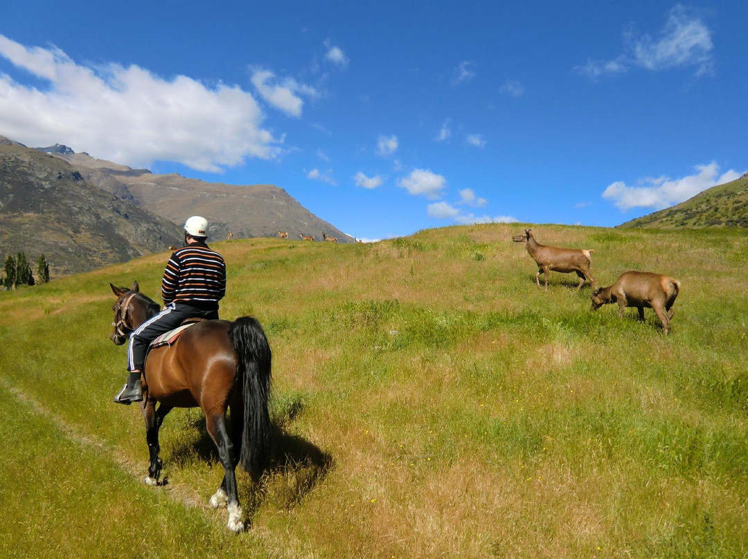 月光马厩-皇后镇必去景点