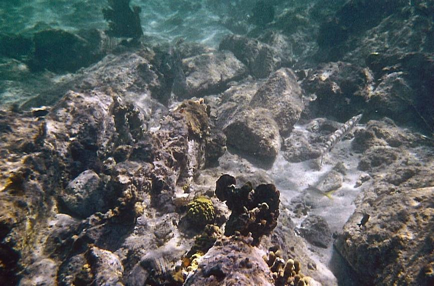 Scott Bay Beach-Caneel Bay必去景点