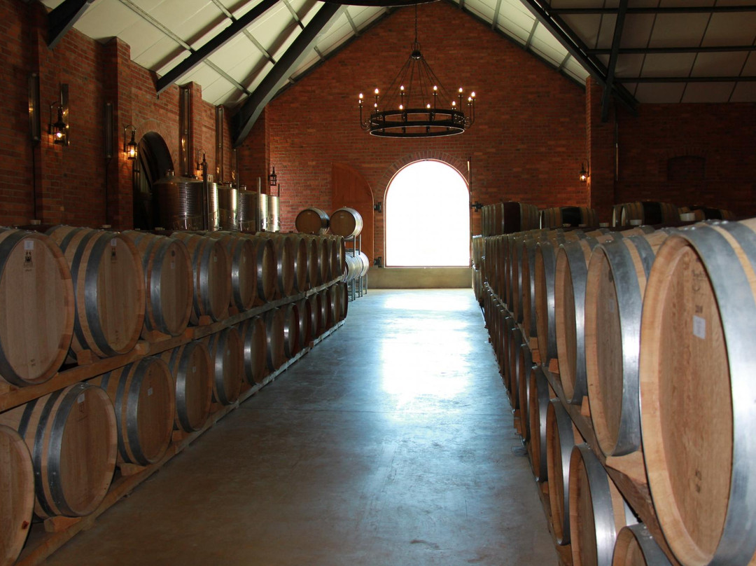 Ernie Els Wines-斯泰伦博斯必去景点