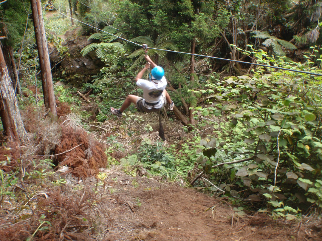 Makes Aventures-圣路易岛必去景点