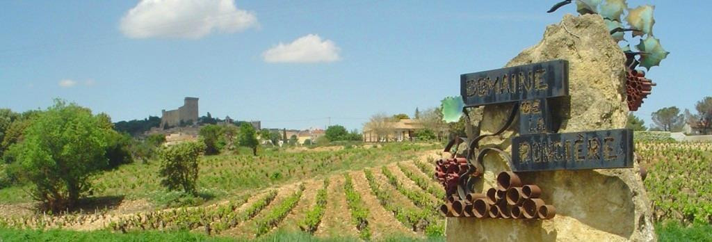 Domaine De La Ronciere-教皇新堡必去景点