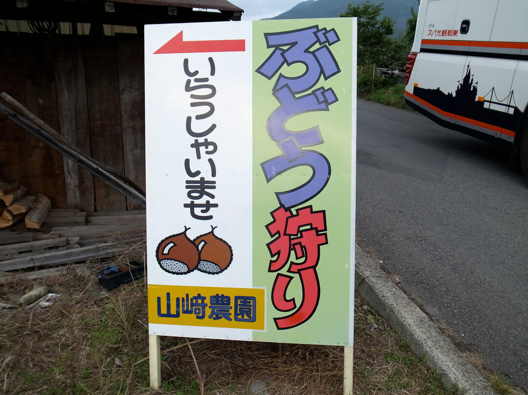 Yamazaki Farm景点图片