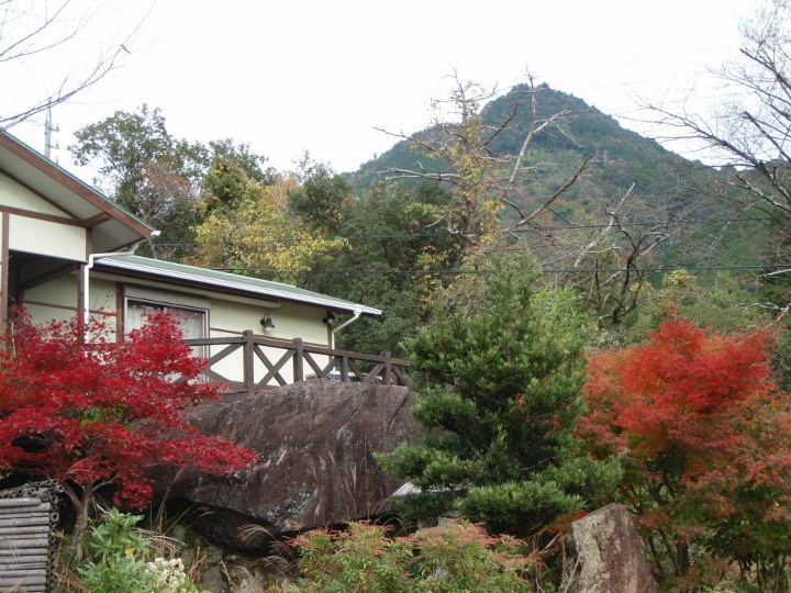 Cottage Woodpeck主图