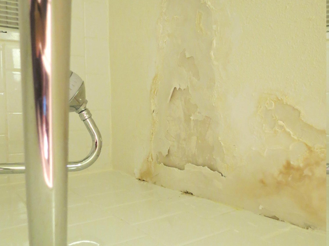 Rocky Mount Inn主图