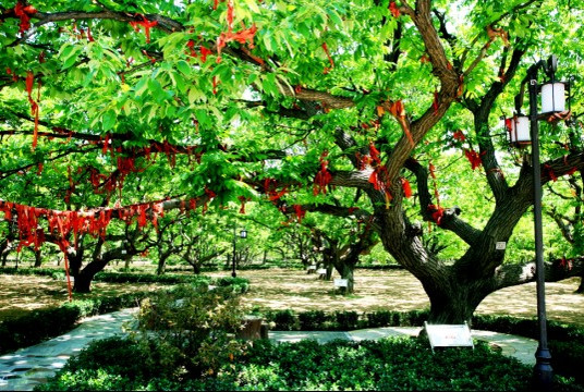 诸城栗园酒店（刘墉板栗园店）主图