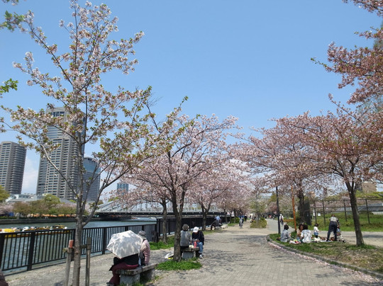 毛马樱之宫公园-大阪市必去景点