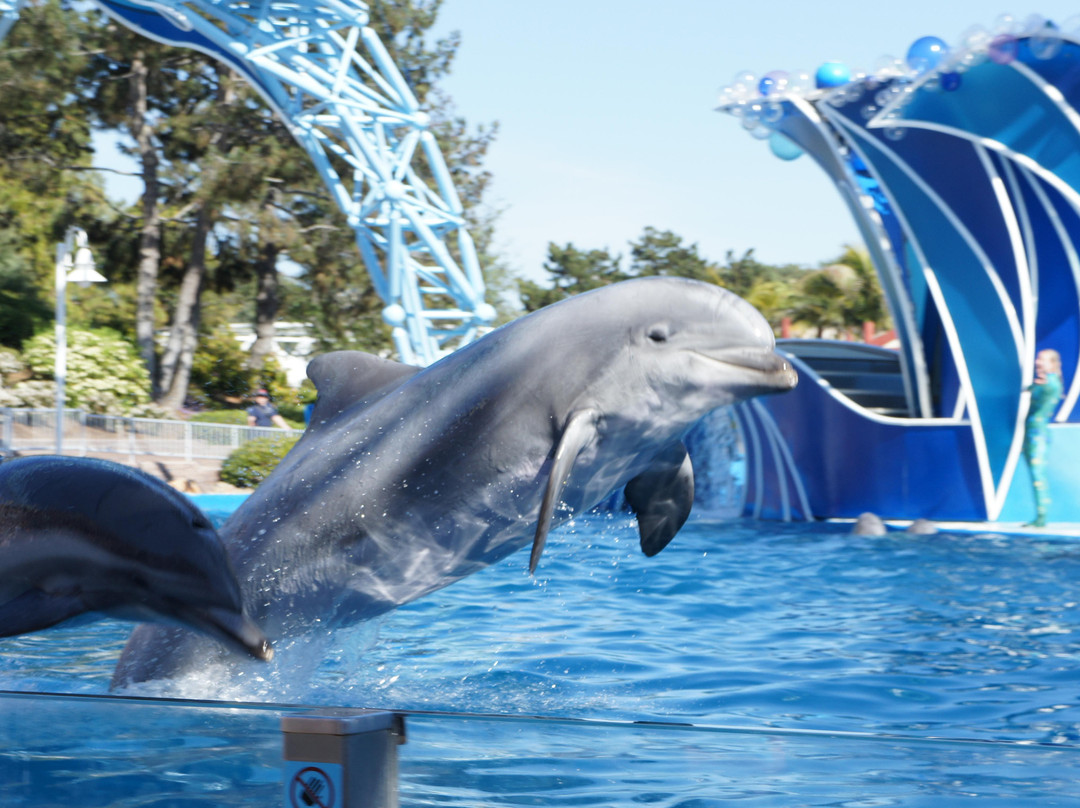 圣地亚哥海洋世界-圣地亚哥必去景点