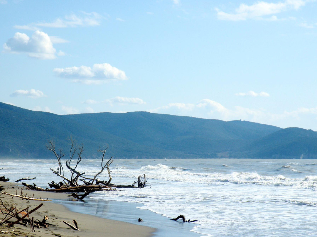 Marina di Alberese景点图片