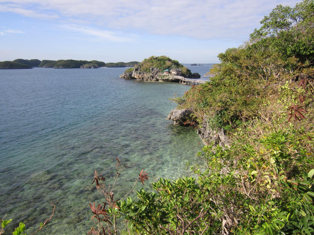 Hundred Islands景点图片