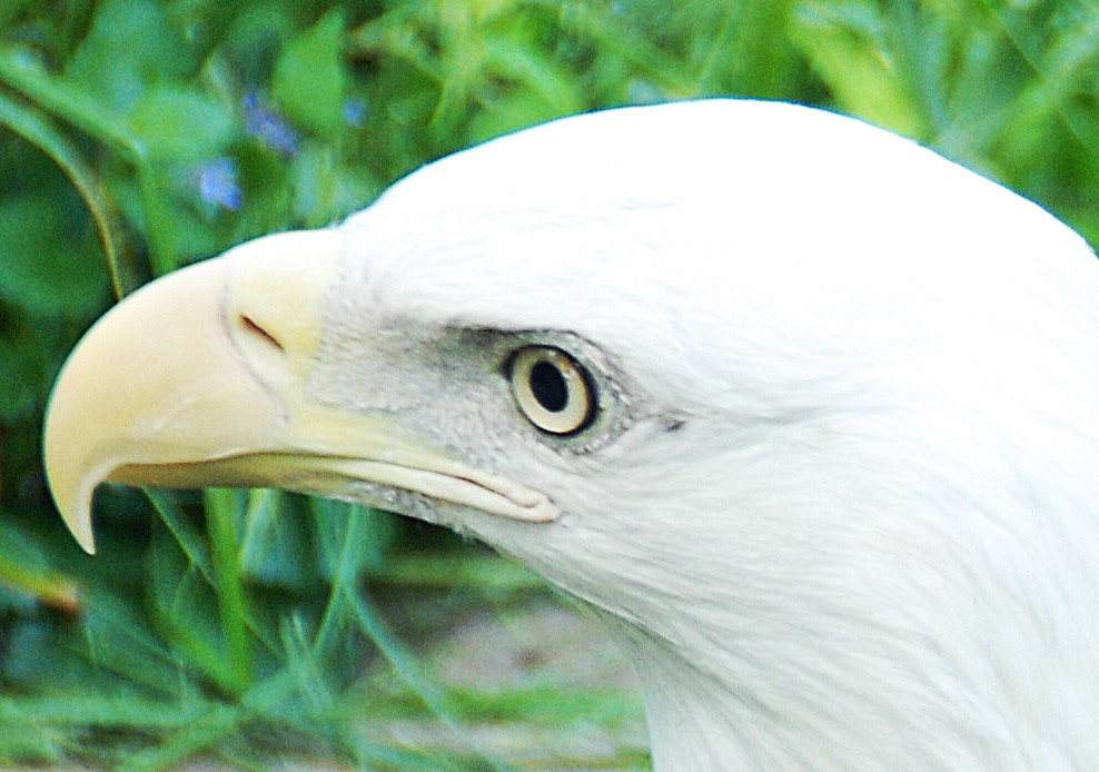 Elmwood Park Zoo-Norristown必去景点