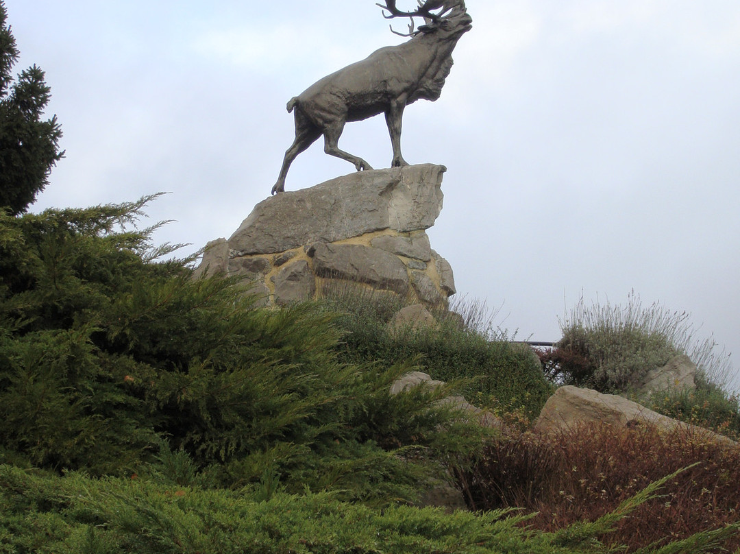 Mémorial Terre-neuvien De Beaumont-hamel景点图片