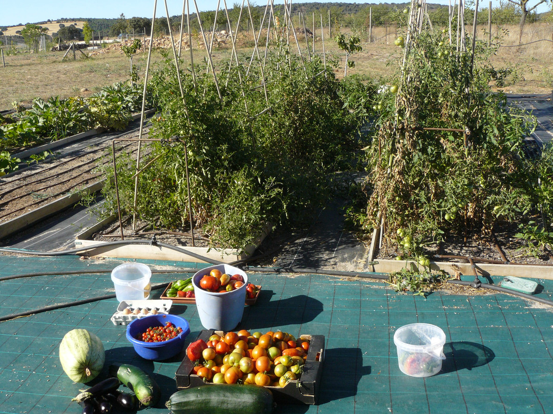 Puentedura旅游攻略图片