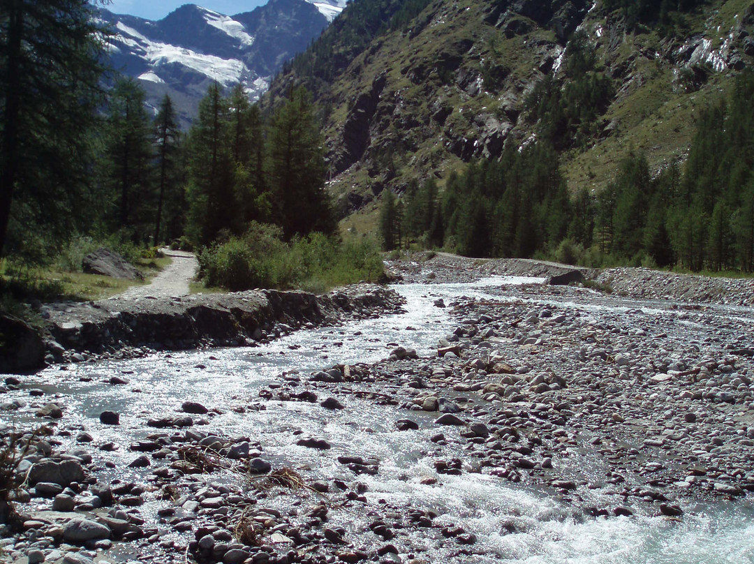 Gran Paradiso National Park景点图片