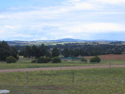 Big Bird & Wolf Chalets主图