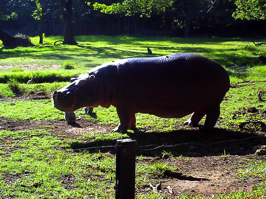Haller Park-蒙巴萨必去景点