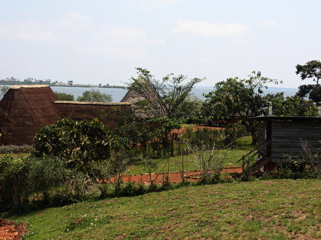 Ngamba Island Chimpanzee Sanctuary-恩德培必去景点