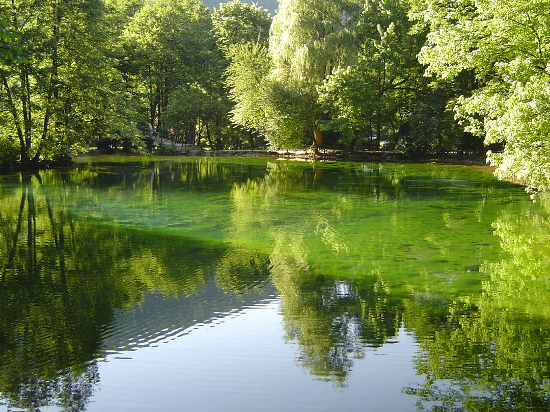 Spring of Bosna景点图片