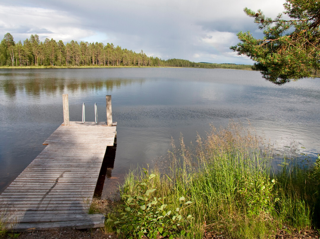Wild Taiga Finland景点图片