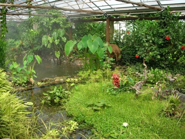 Fjarilshuset (Butterfly House)-斯德哥尔摩必去景点