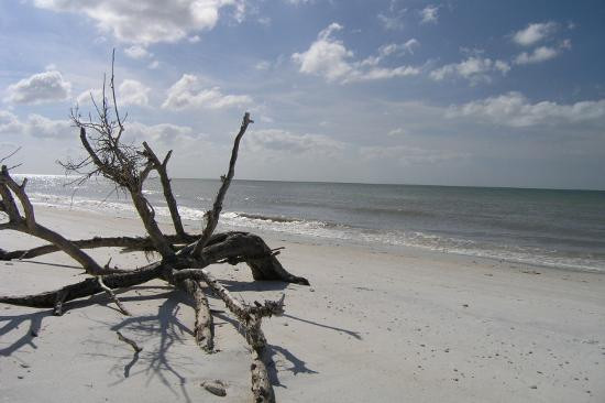 Honeymoon Island State Park-达尼丁必去景点