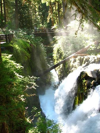 Sol Duc Falls景点图片