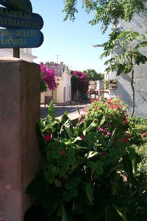 Barrio Historico-科洛尼亚·德尔萨克拉门托城必去景点