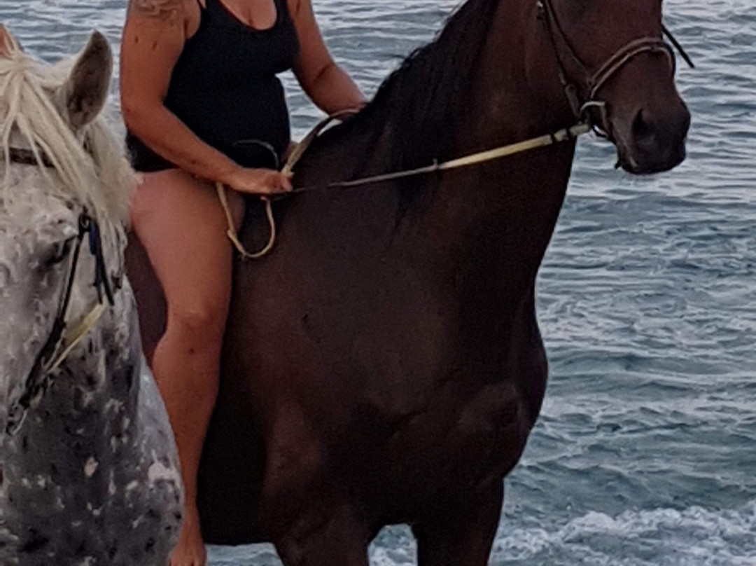 Le Cheval Andalou景点图片