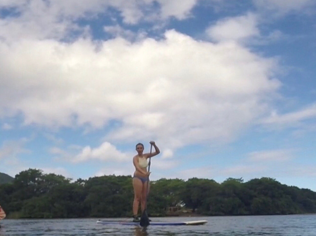 Dodo Gliders Stand Up Paddle Adventures景点图片