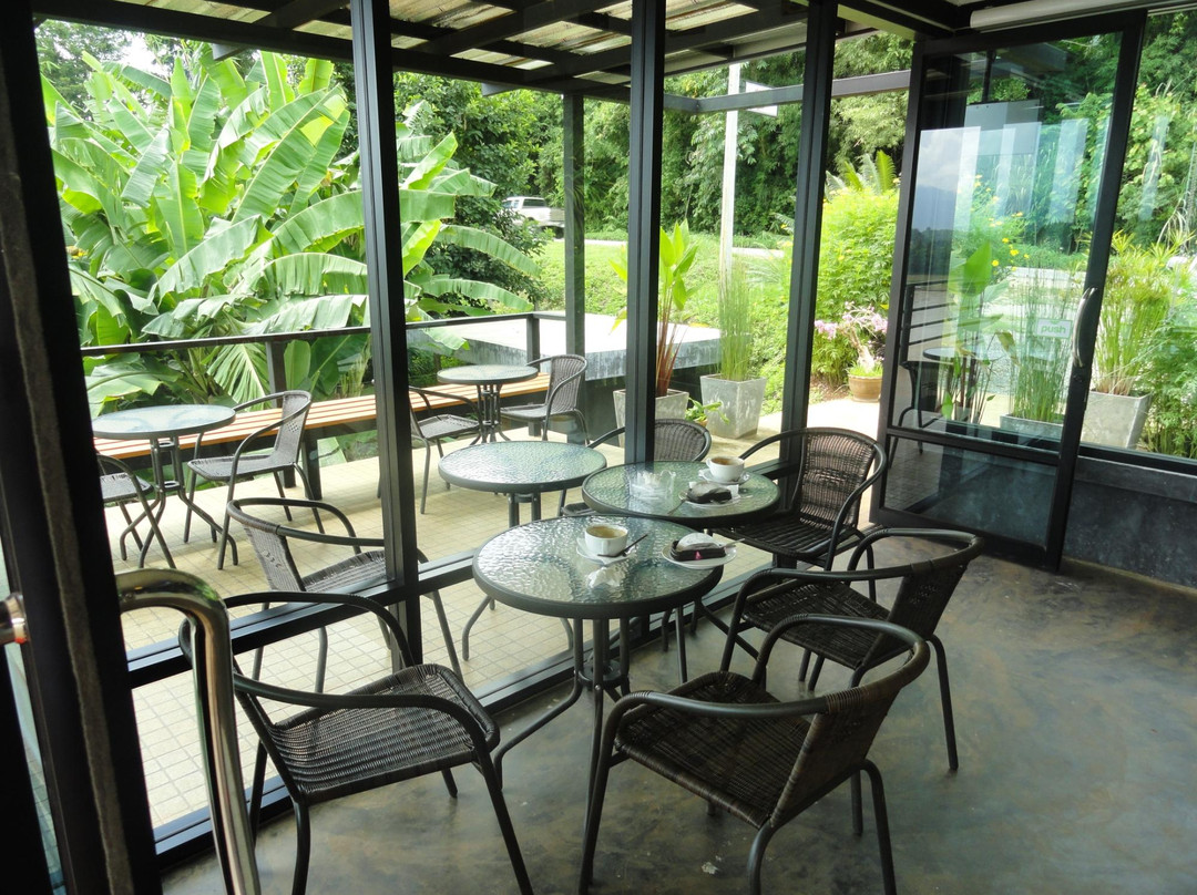 坤丹餐馆和美食-Panorama Coffee