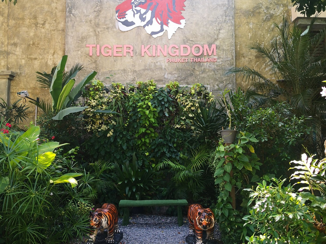 Tiger Kingdom Phuket-卡图必去景点
