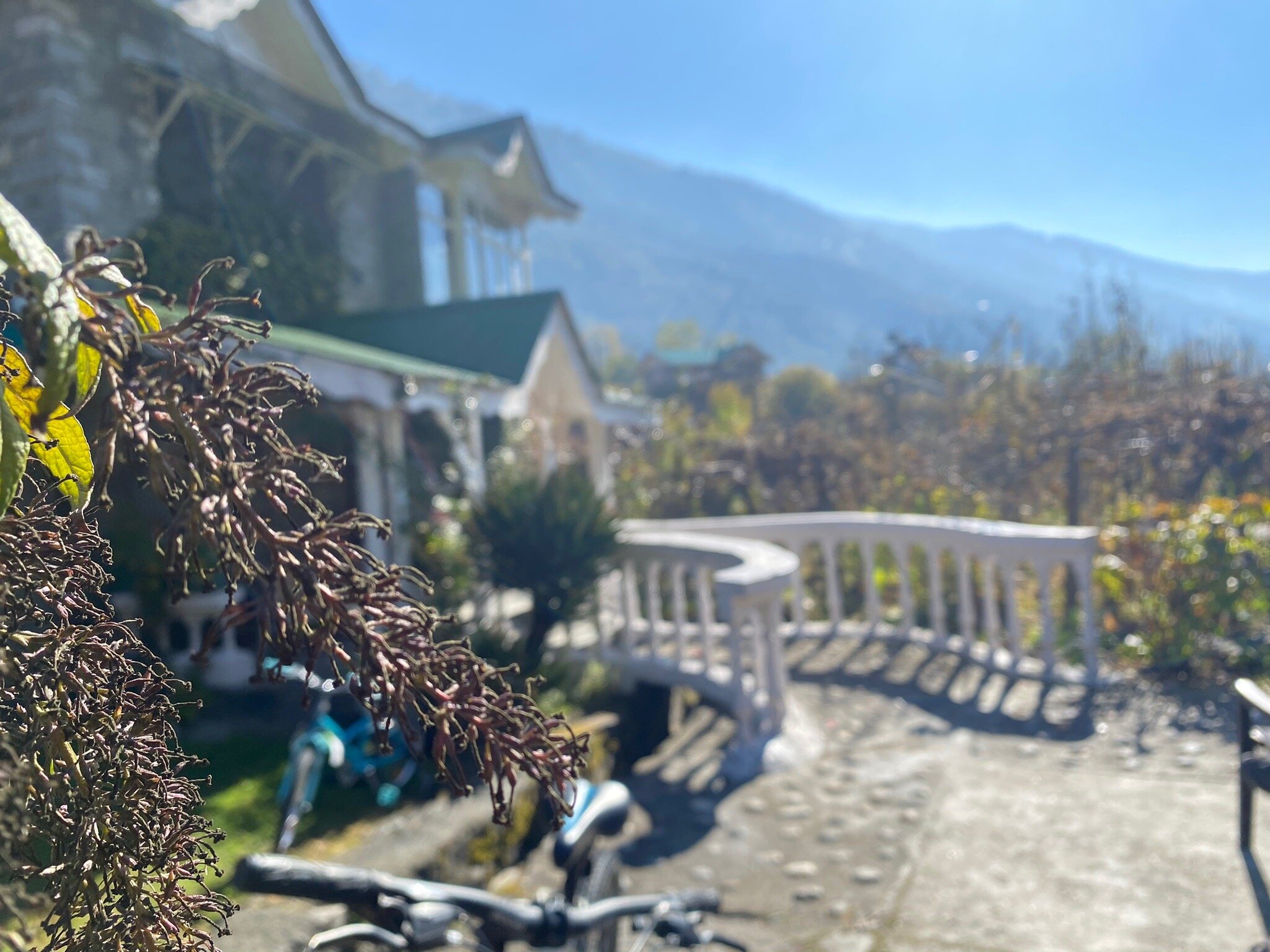 Our Place Himalayas-官方