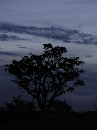 Omaruru旅游攻略图片