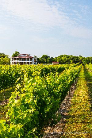 Willow Creek Winery景点图片