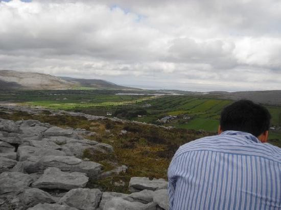 Burren Wild Tours景点图片