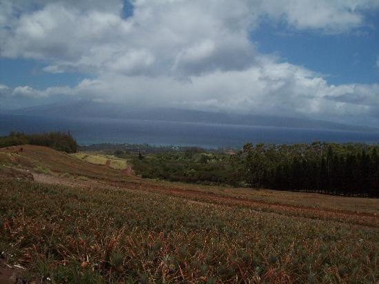Ironwood Ranch-Napili-Honokowai必去景点