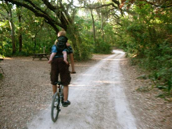 Little Talbot Island State Park-杰克逊维尔必去景点