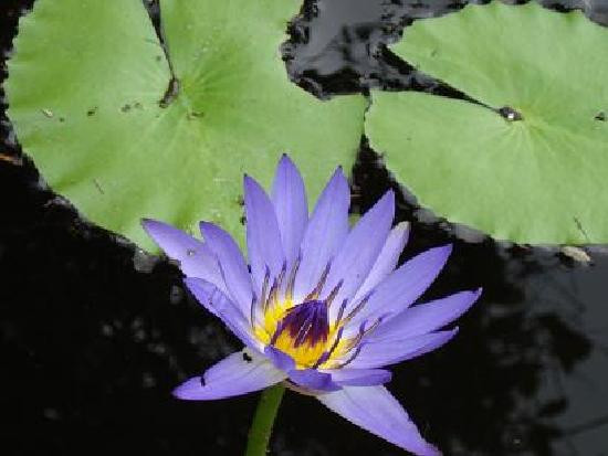 Mida Creek-瓦塔木必去景点