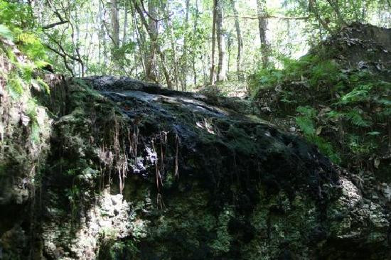 Falling Waters State Park景点图片