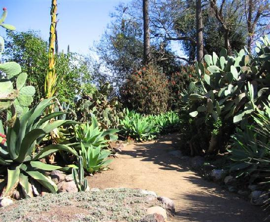 Rancho Los Alamitos-长滩必去景点