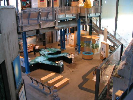 Great Lakes Aquarium-德卢斯必去景点