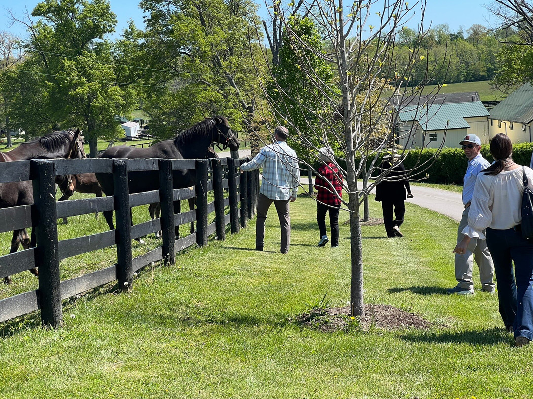 Runnymede Farm-Paris必去景点