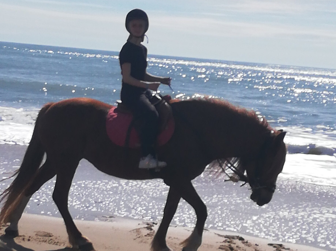 La Cheval Autrement景点图片