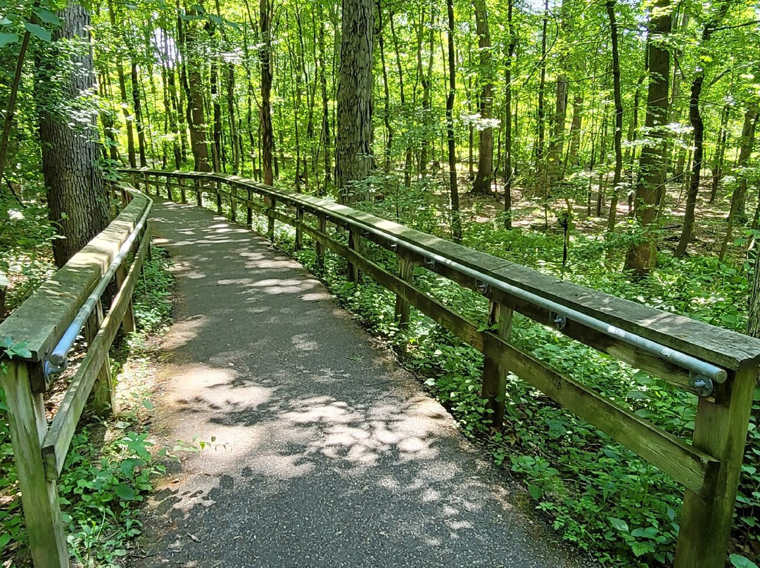 Cowenton Ridge Park景点图片