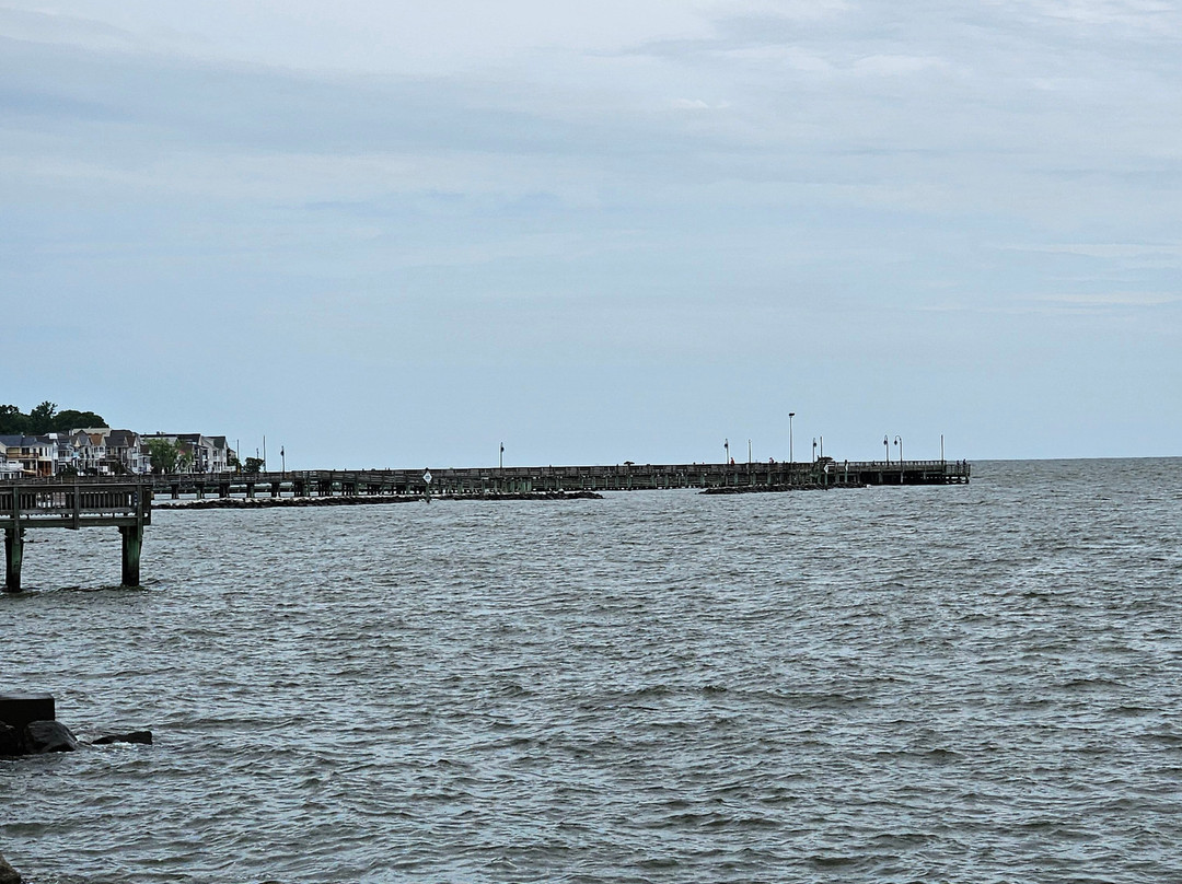 Rod 'N' Reel Resort主图