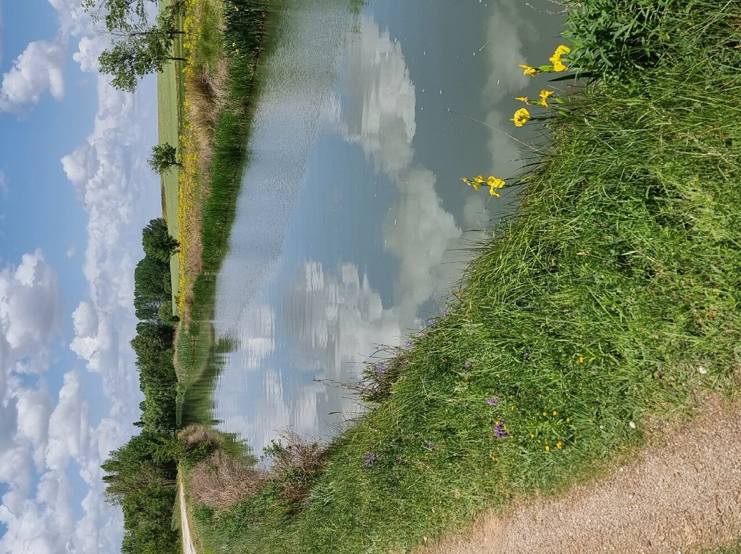 Canal de Castilla景点图片