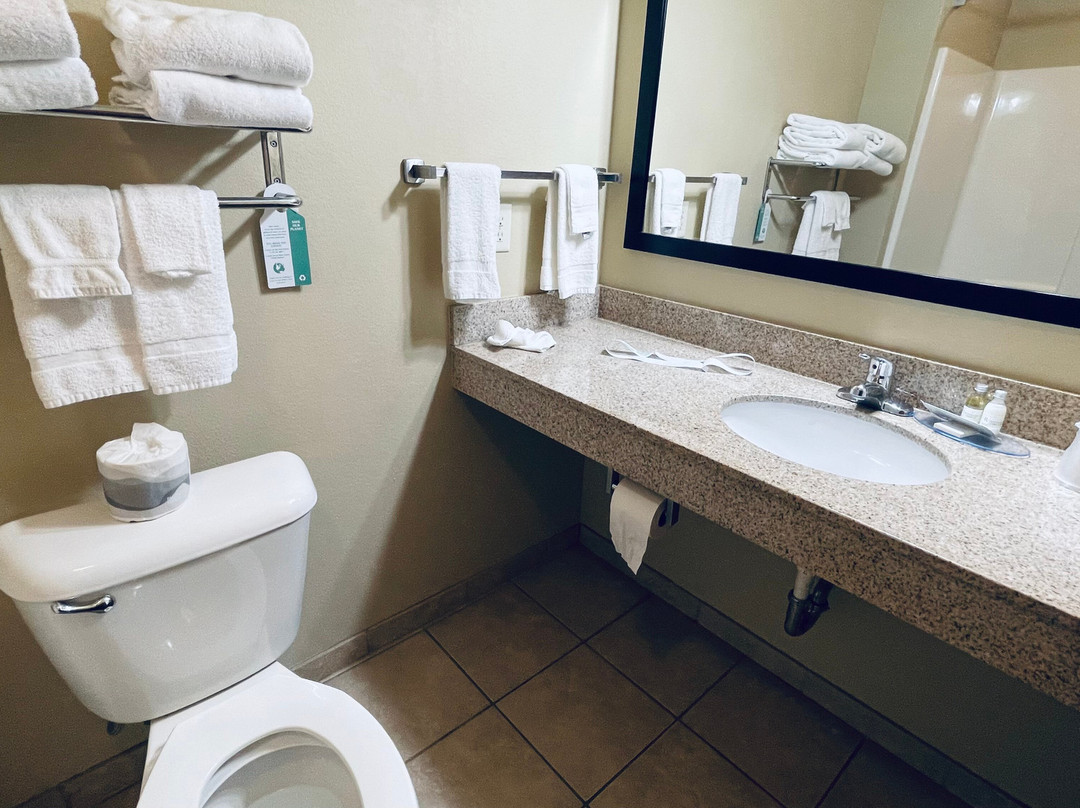 Cobblestone Inn Suites - Eads主图