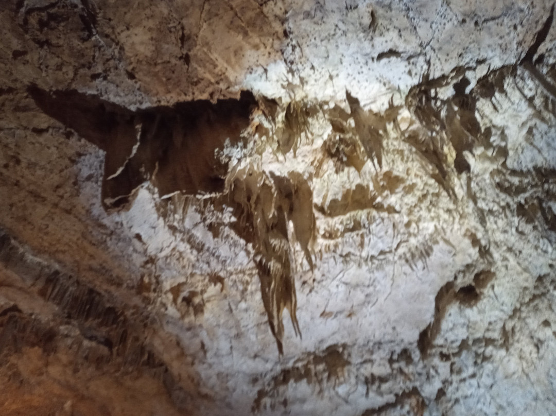 Grottes des Moidons-Molain必去景点
