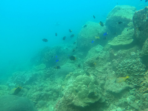 Dive For You-尼拉瓦利必去景点